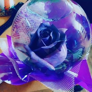 Meet your Posher, Jacquelyn